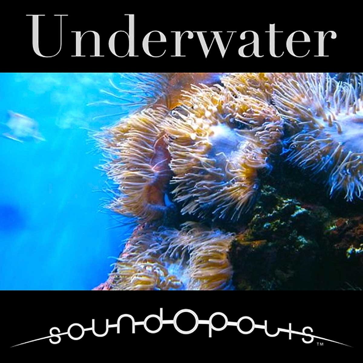 Soundopolis - Underwater Sample Packs Software GUI Artwork